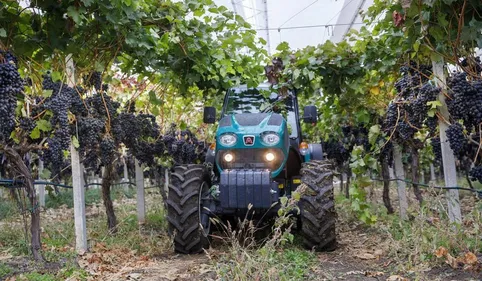 Port-Vendres : un homme meurt écrasé par son propre tracteur