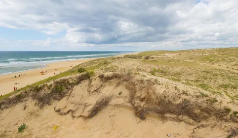 Pyrénées-Orientales : En raison du recul du trait de côte,...