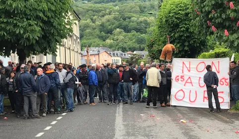 Bigorre : 200 personnes crient leur opposition aux ours