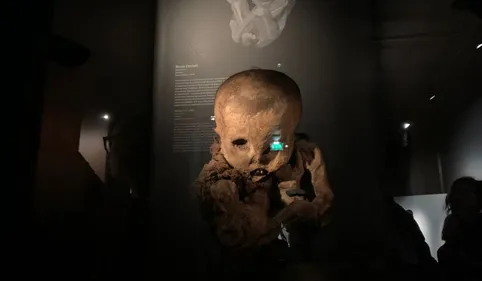 Et si on jouait à se faire peur avec de vraies momies à Toulouse ?