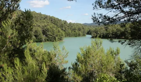 Baignade compromise au lac de la Cavayère à Carcassonne