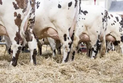 Agriculture : ils en ont marre