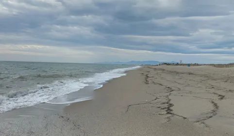 Info 100% : Macabre découverte sur la plage de Torreilles ce matin