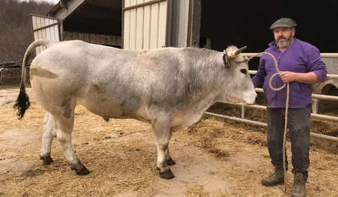 Macaroni, Star Audoise au salon de l'agriculture à Paris