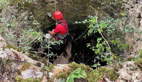 L'équidé était coincé dans un puits à Bruniquel 