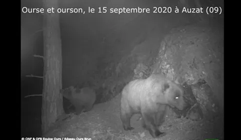 Béarn : la justice annule des arrêtés municipaux contre la...