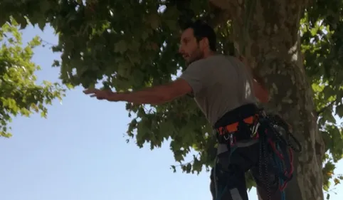 A69. Thomas Brail, perché dans un arbre face à l'hôtel de région à...