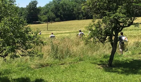 L'ourson ariégeois "Douillous" retrouvé sain et sauf  dans le Tarn ! 