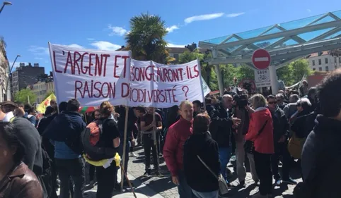 Pau : plus de 1.200 manifestants contre la réintroduction d'ourses...