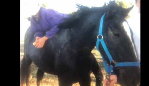 Toreilles : Vanessa cherche son cheval