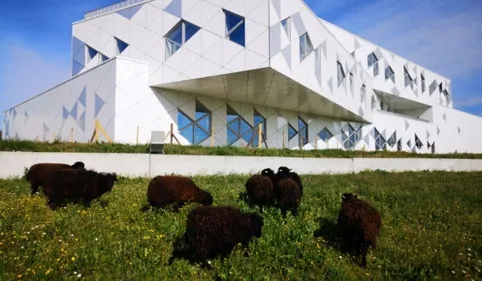 Tendance : un Tarnais propose de remplacer les tondeuses par ses......