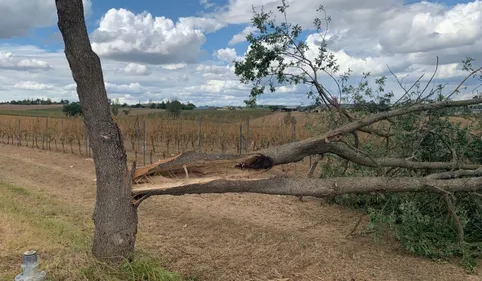 Grêle à Condom : "on ne pouvait pas imaginer pire" déplore un...