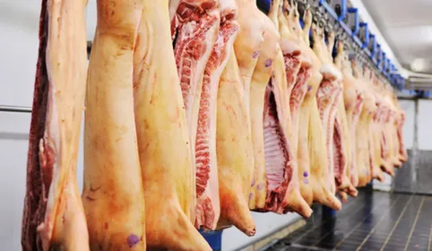 Prison avec sursis pour l'ex directeur de l'abattoir de Mauléon