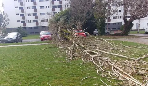 Les Pyrénées frappées par une tempête pour le 2e fois en 24 heures 