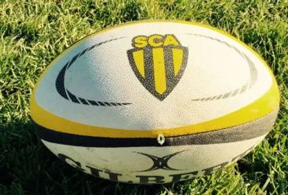 Pro D2 - Lyon se ressaisit, Béziers nouveau dauphin, Albi cinquième. 