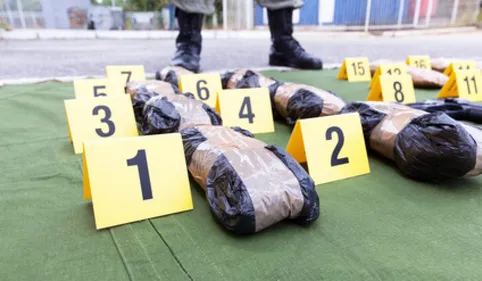 INFO 100%. La gendarmerie démantèle un réseau criminel près de...