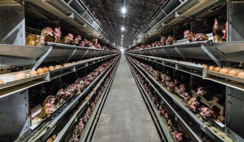 Ambiance tendue ce mardi soir à Lescout autour de la ferme des 200...