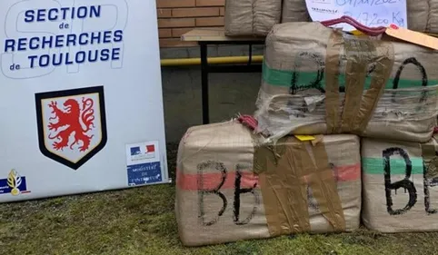 Une demi-tonne de cannabis saisie dans un "go fast" au nord de...