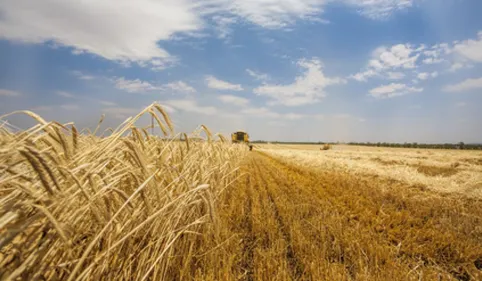 Un Faucheur ariégeois convoqué devant les gendarmes