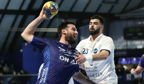 Les Fénix de Toulouse perdent le derby d'Occitanie