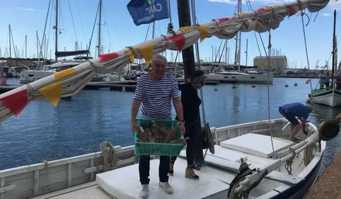 Canet-en-Roussillon : ils ont fait vieillir leur vin dans les...