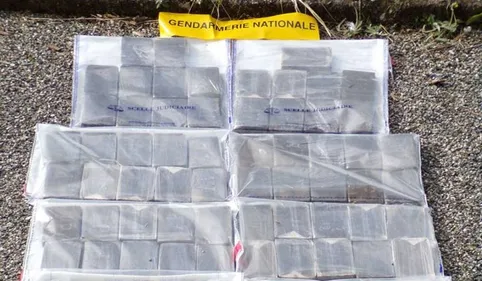 Tarbes : 13 kg de haschich et plus de 34 000 euros saisis