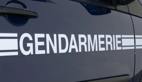 "Go fast" à Amélie-les-bains : deux trafiquants interpellés après...