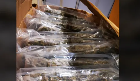 Près d'1,5 tonne de drogues saisie par les douaniers du Perthus en...