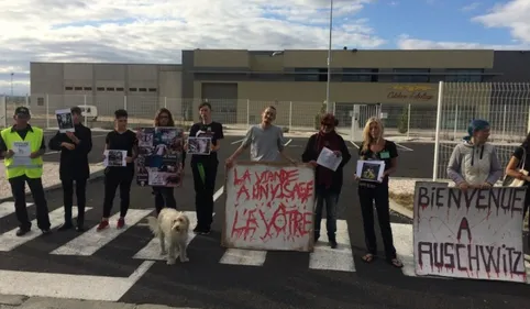 Nuit debout devant les abattoirs : les militants perpignanais...