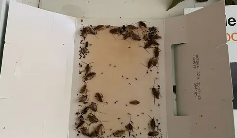 TEMOIGNAGE 100%. Le cauchemar de ces Montalbanais dont l'habitation...