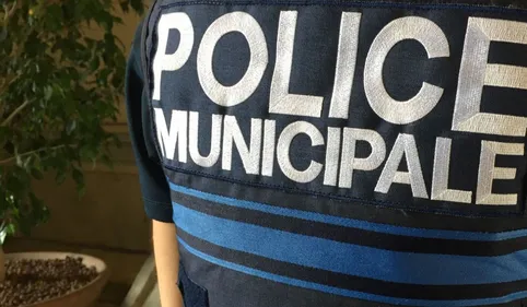 INFO 100% : Deux policiers municipaux de Toulouse passés à tabac...