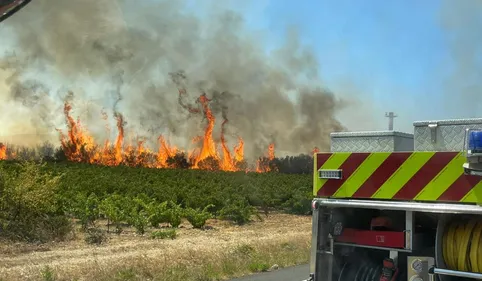 Un nouvel incendie dans les Pyrénées-Orientales brûle 30 hectares...