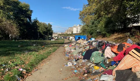 Toulouse. "On a peur des souris quand on dort" témoigne Elisa,...