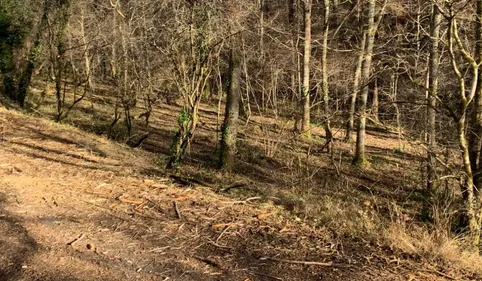 Fouilles à Cagnac : les enquêteurs cherchent (aussi) le téléphone...