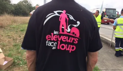 Pyrénées : éleveurs au bord de la crise de nerfs 