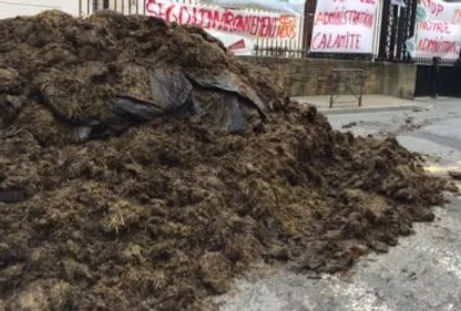 Auch : des agriculteurs manifestent pour demander "des actes"