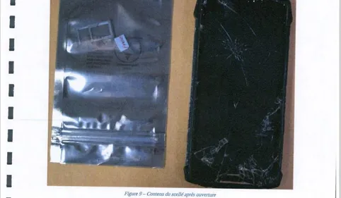  DECRYPTAGE 100%. Affaire Jubillar : les données extraites des...