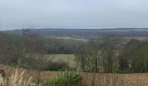 Affaire Jubillar. Les recherches au drone ont repris au dessus de...