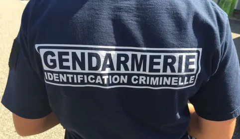 INFO 100% - Corps carbonisé près de Tarbes : la victime aurait fait...