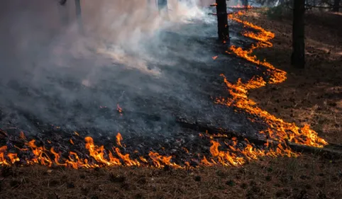 L'interdiction d'écobuage est étendue jusqu'au 23 octobre