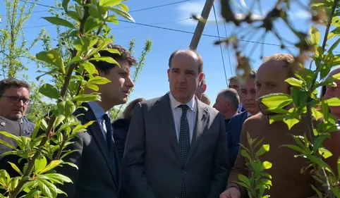 Gel: Jean Castex et Julien Denormandie au chevet des arboriculteurs...