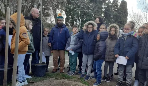 Un chef Papou à Carcassonne