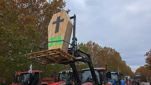Manifestation des agriculteurs à Toulouse : la profession à bout de...