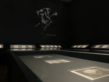 Castres. Cet été, le nouveau musée Goya a fait le plein de visiteurs