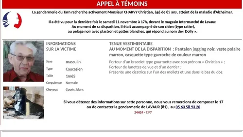 Lavaur. Une nouvelle battue citoyenne aujourd'hui pour retrouver...