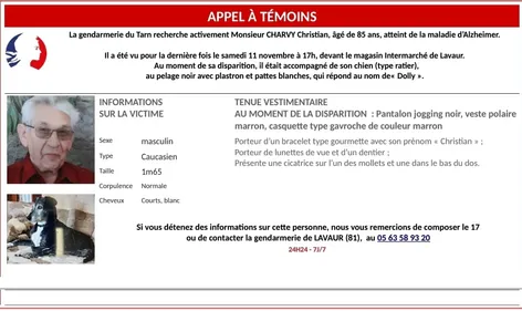 Lavaur. Une nouvelle battue citoyenne aujourd'hui pour retrouver...