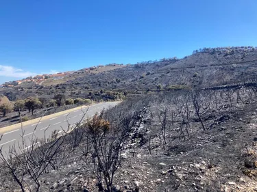 Le risque incendie s'accentue dans l'Aude et les...