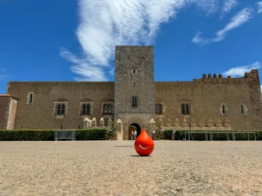 PYRÉNÉES-ORIENTALES : DON DE SANG AU PALAIS DES ROIS DE MAJORQUE
