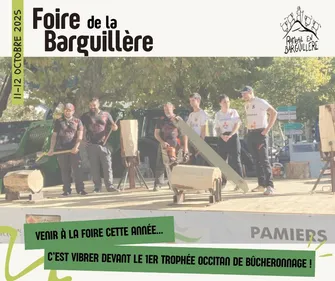 La Foire de la Barguillère à Foix (09)