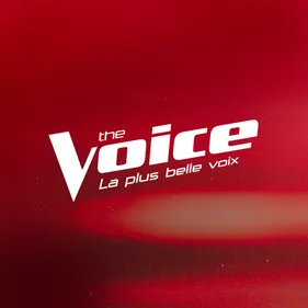 Montpellier : Hugo, 25 ans, le violon en “super‑pouvoir” dans The...